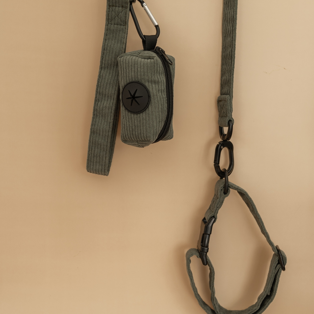 Antigone | Pet Leash Cordroy Green - Medium | Shut the Front Door