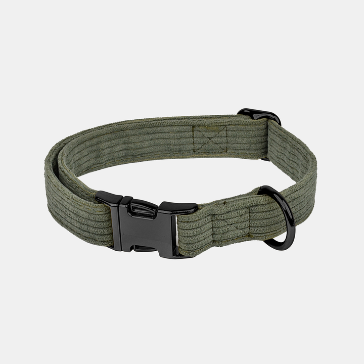 Antigone | Pet Collar Cordroy Green - Large | Shut the Front Door