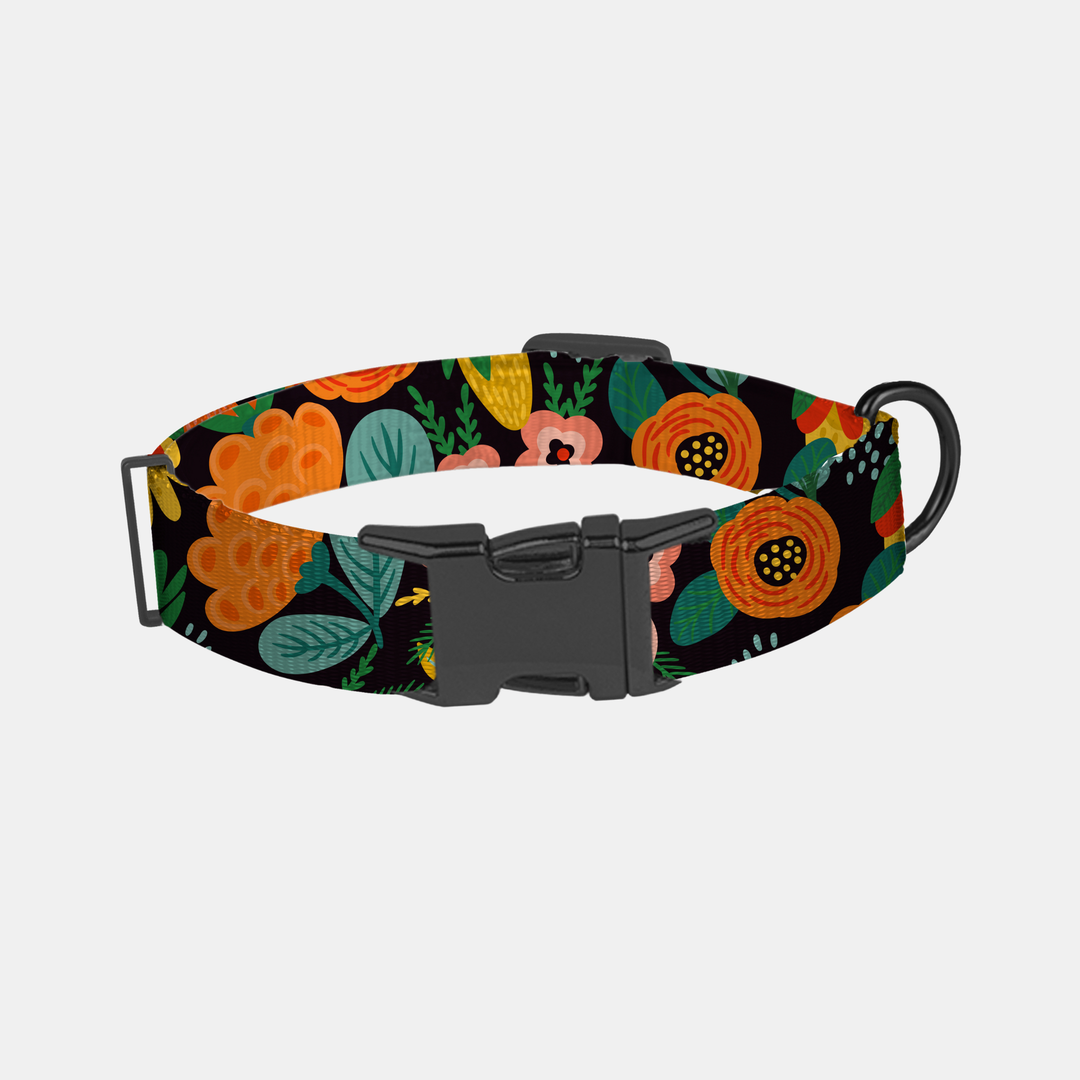 Antigone | Pet Collar Floral Orange - Large | Shut the Front Door