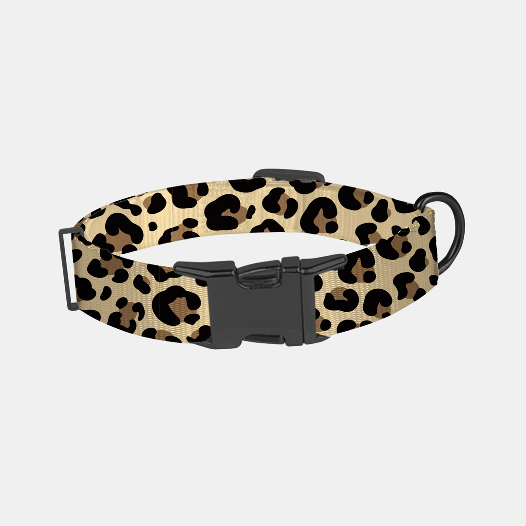 Antigone | Pet Collar Animal Print Black/Brown - Large | Shut the Front Door