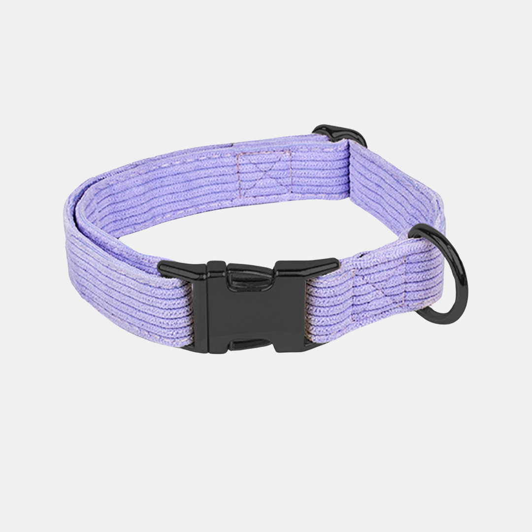 Antigone | Pet Collar Cordroy Lilac - Large | Shut the Front Door