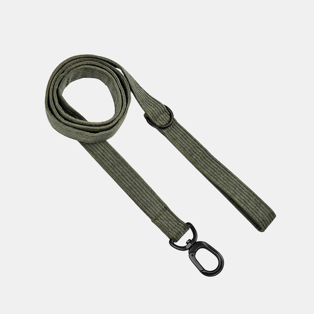 Antigone | Pet Leash Cordroy Green - Large | Shut the Front Door