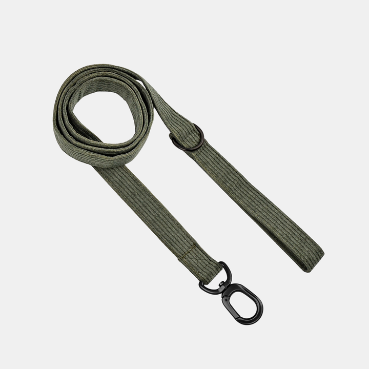 Antigone | Pet Leash Cordroy Green - Large | Shut the Front Door