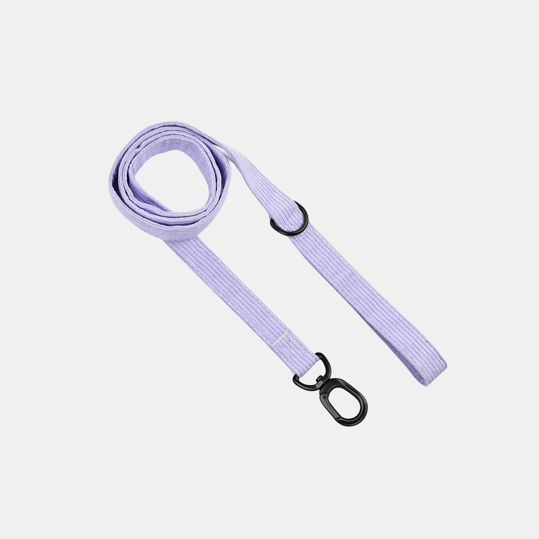 Antigone | Pet Leash Cordroy Lilac - Medium | Shut the Front Door