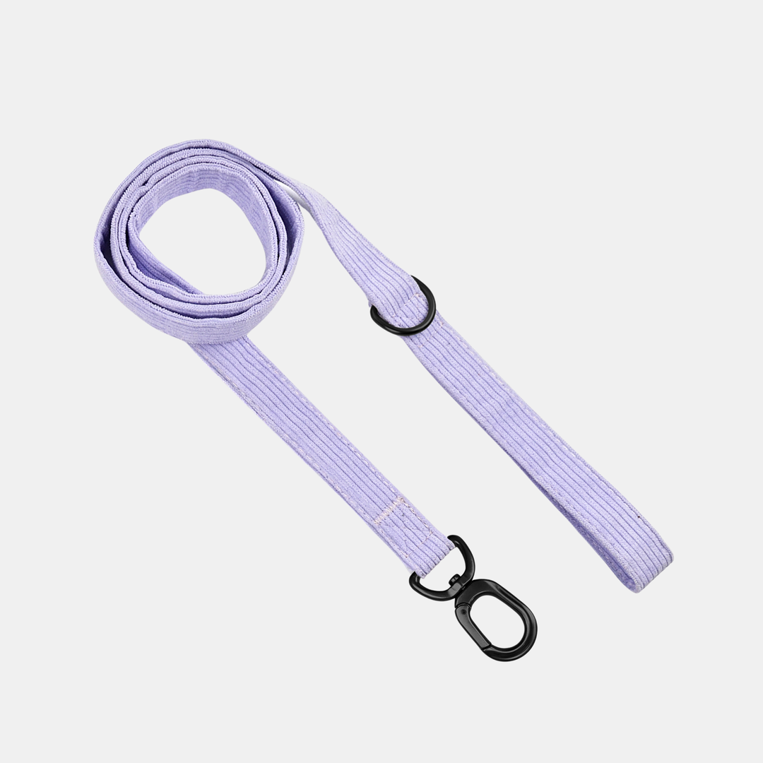 Antigone | Pet Leash Cordroy Lilac - Large | Shut the Front Door