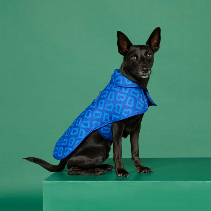 Blunt | Blunt Blue Dog Coat - Small | Shut the Front Door