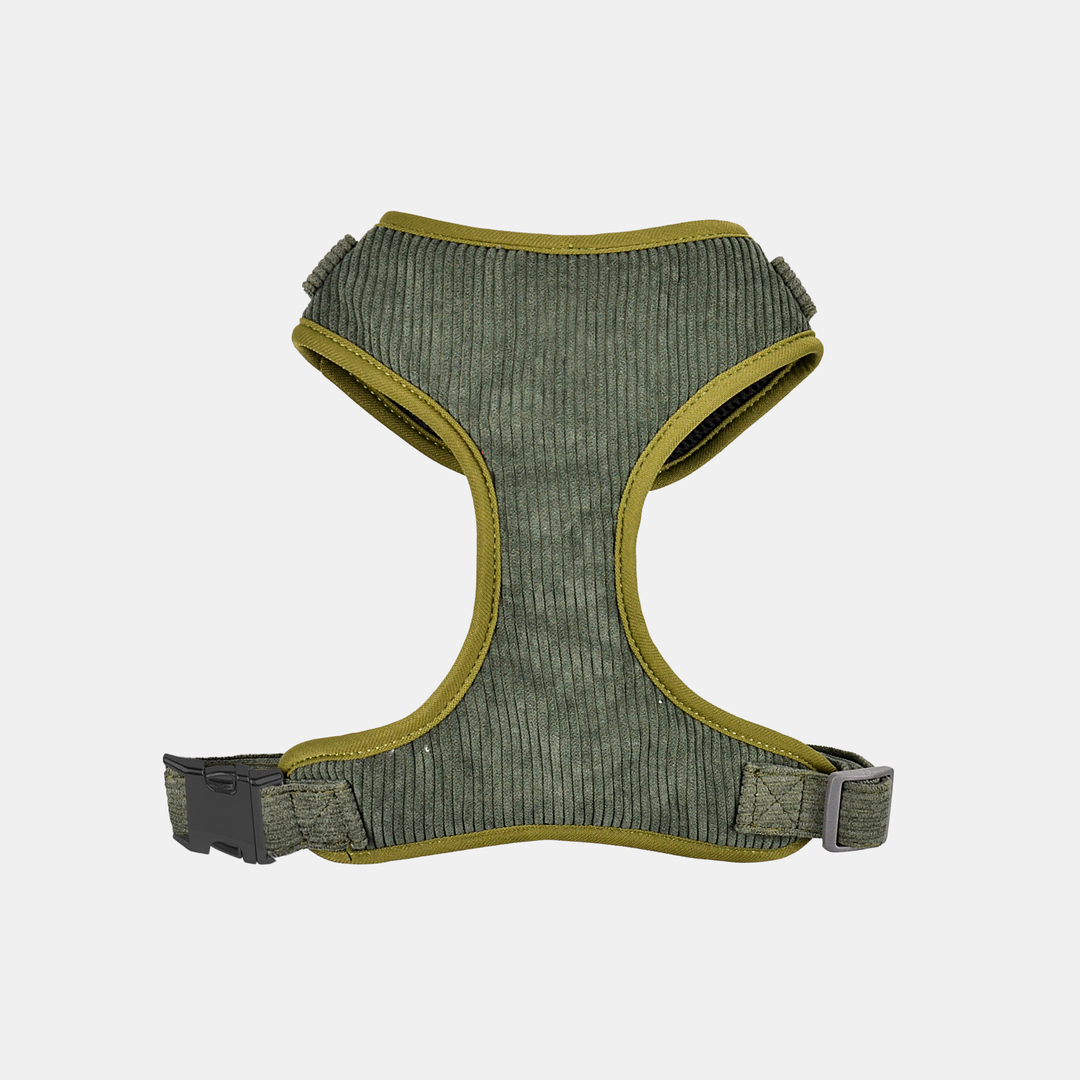 Antigone | Pet Harness Cordroy Green - Large | Shut the Front Door