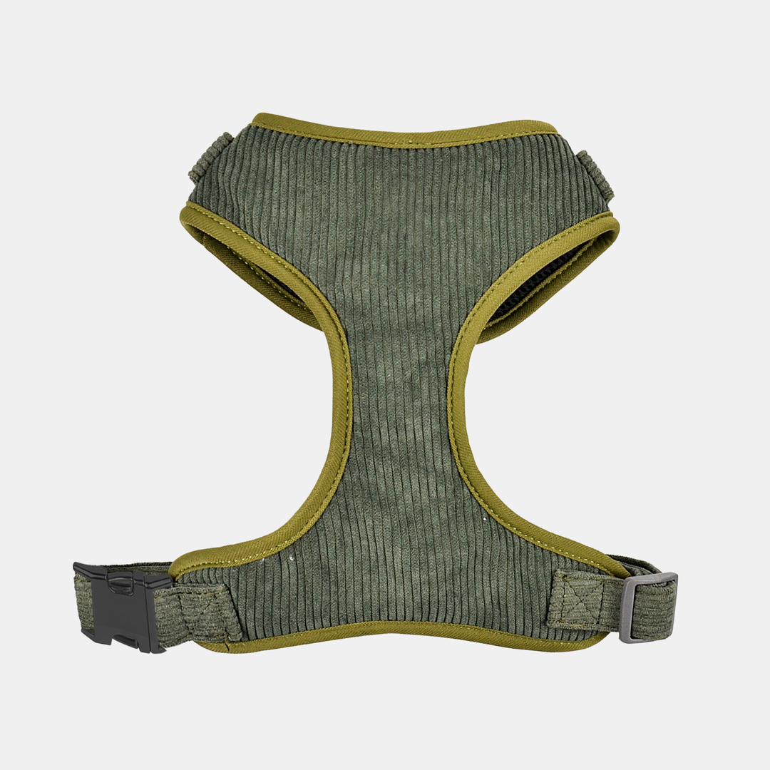 Antigone | Pet Harness Cordroy Green - X-Large | Shut the Front Door