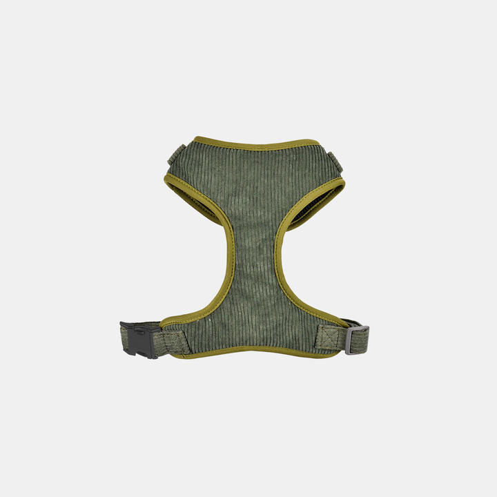 Antigone | Pet Harness Cordroy Green - Small | Shut the Front Door