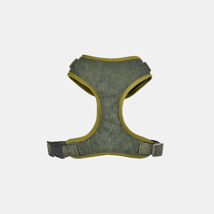 Antigone | Pet Harness Cordroy Green - Medium | Shut the Front Door