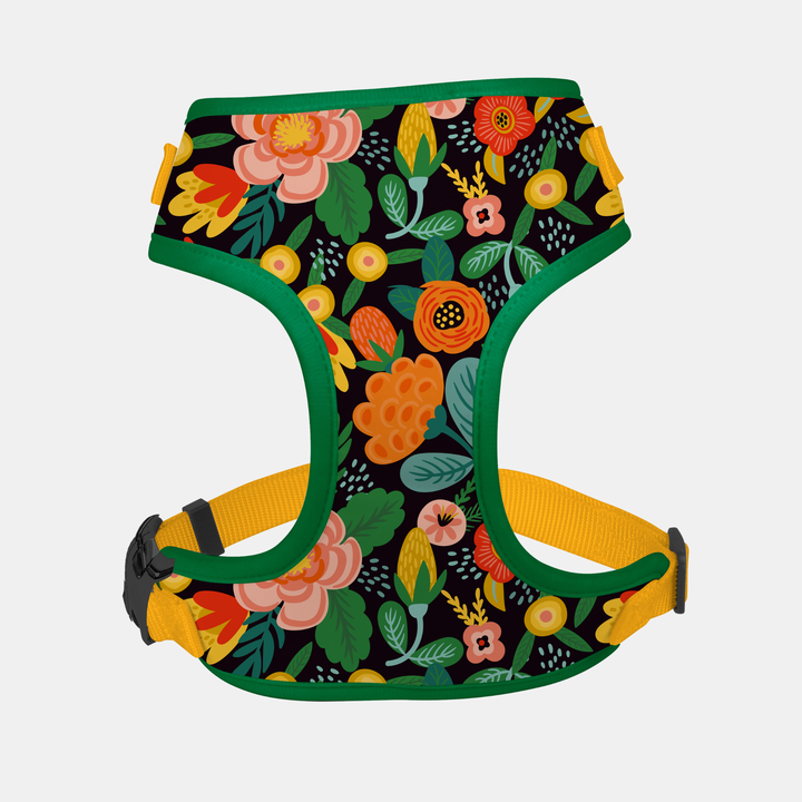 Antigone | Pet Harness Floral Orange - X-Large | Shut the Front Door