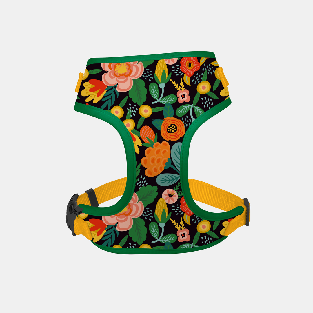 Antigone | Pet Harness Floral Orange - Large | Shut the Front Door