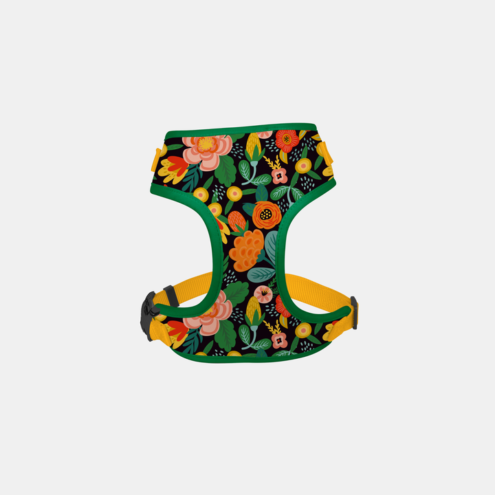 Antigone | Pet Harness Floral Orange - Small | Shut the Front Door