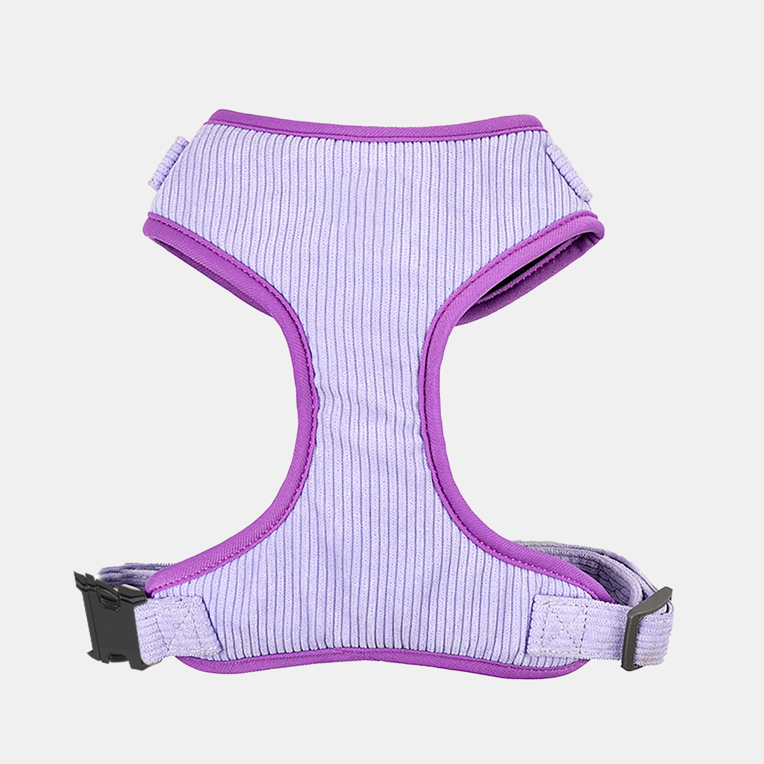 Antigone | Pet Harness Cordroy Lilac - X-Large | Shut the Front Door