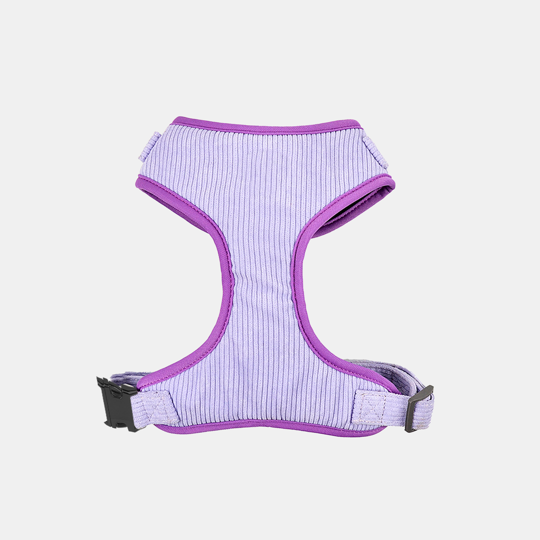 Antigone | Pet Harness Cordroy Lilac - Large | Shut the Front Door