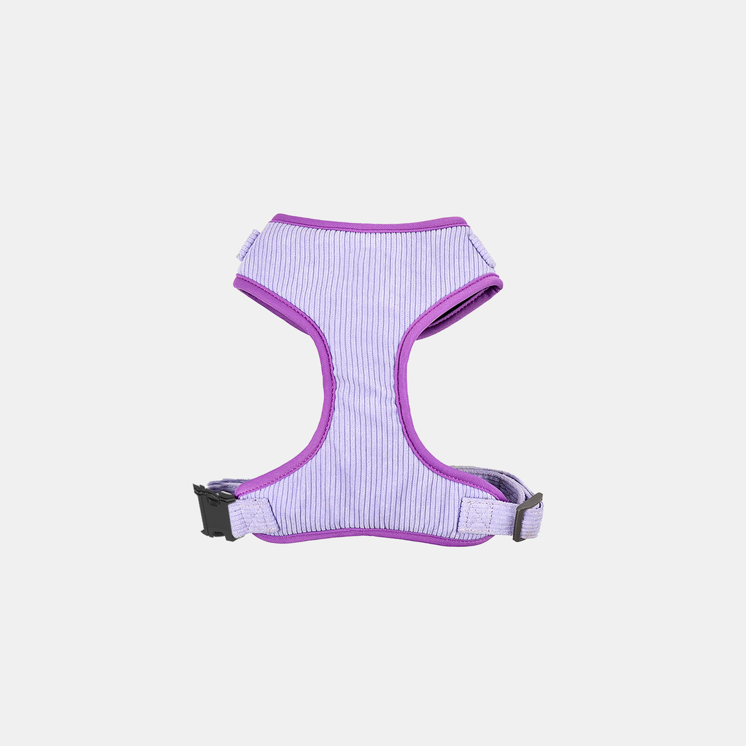 Antigone | Pet Harness Cordroy Lilac - Small | Shut the Front Door