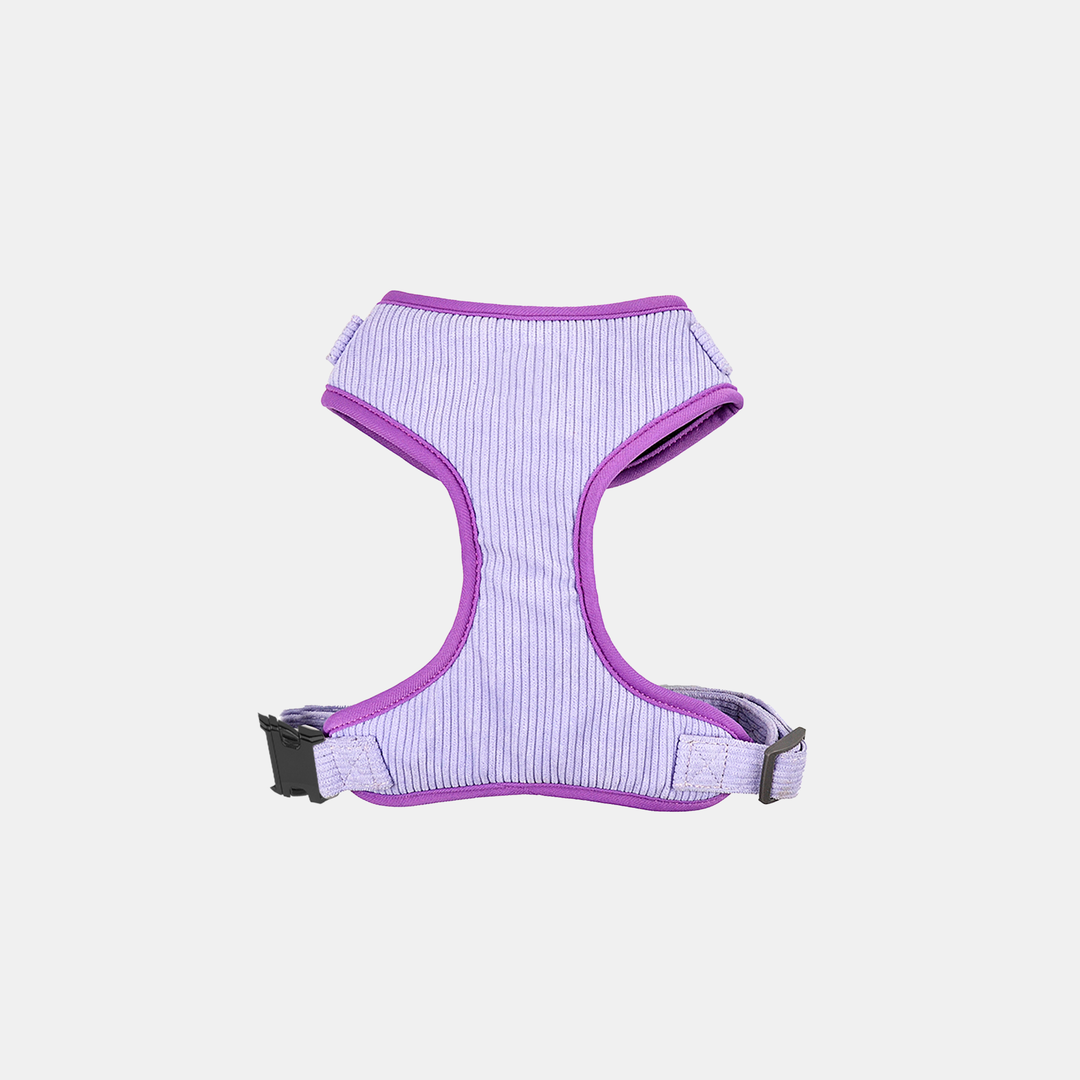 Antigone | Pet Harness Cordroy Lilac - Medium | Shut the Front Door