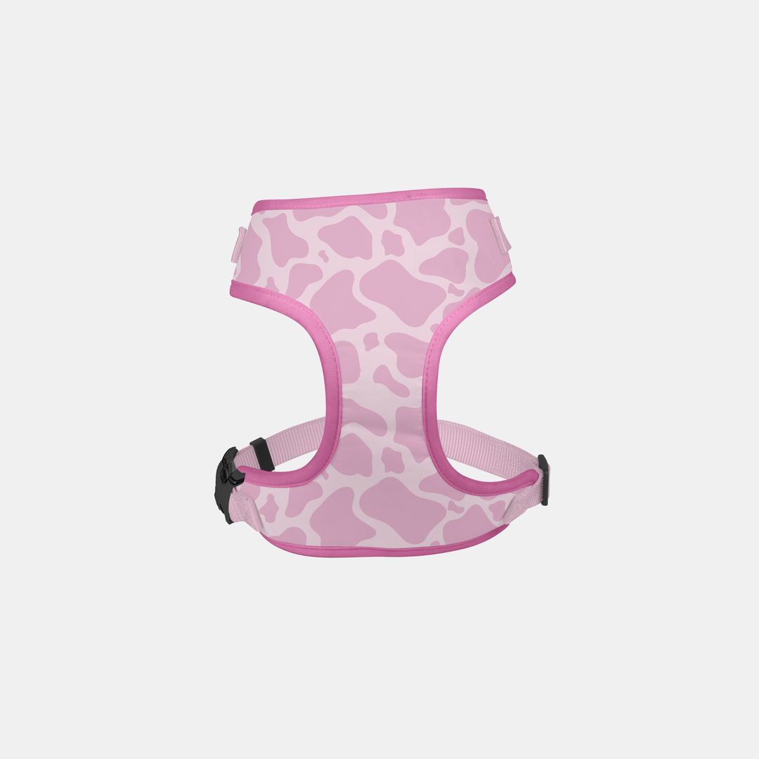 Antigone | Pet Harness Animal Print Pink - Small | Shut the Front Door