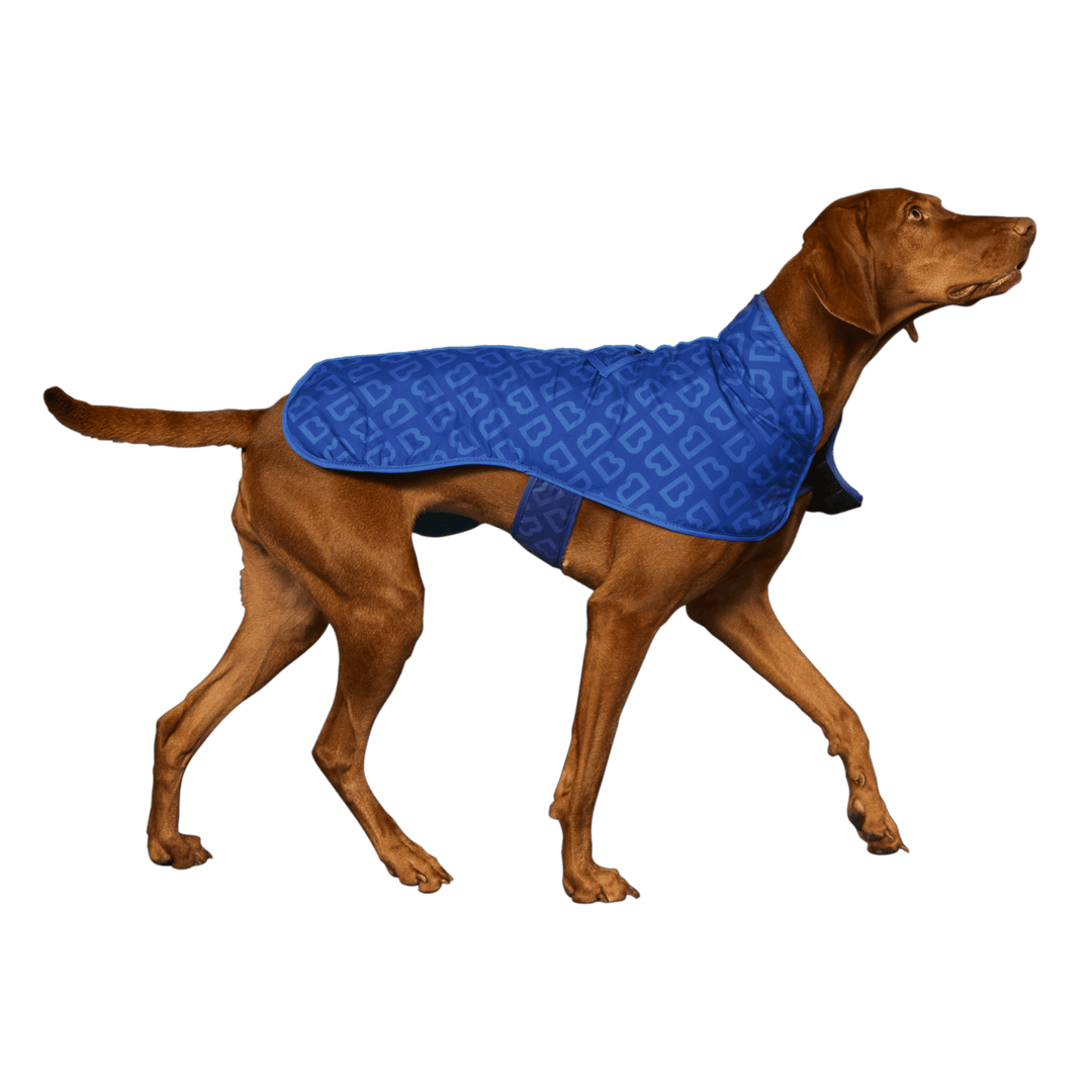 Blunt | Blunt Blue Dog Coat - Small | Shut the Front Door