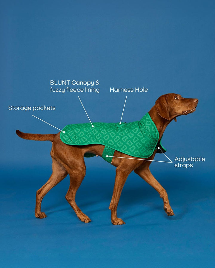 Blunt | Blunt Blue Dog Coat - Small | Shut the Front Door