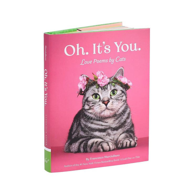 Chronicle Books | Oh It's You | Shut the Front Door