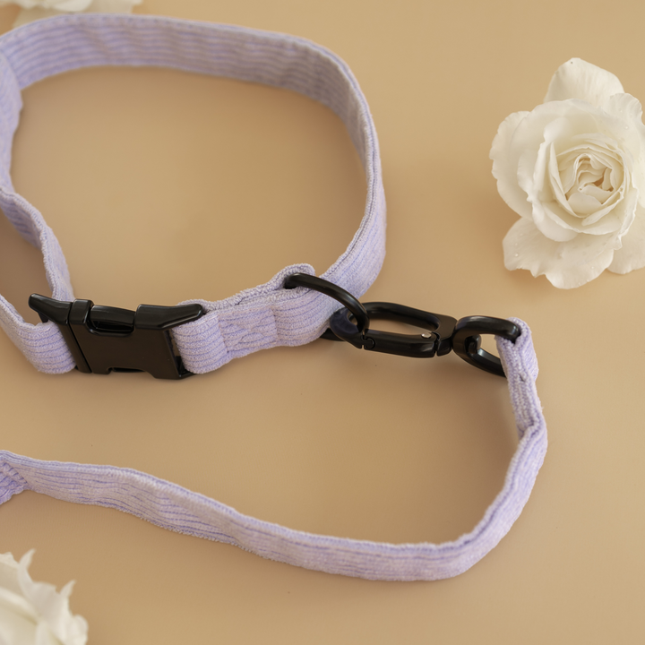 Antigone | Pet Collar Cordroy Lilac - Large | Shut the Front Door