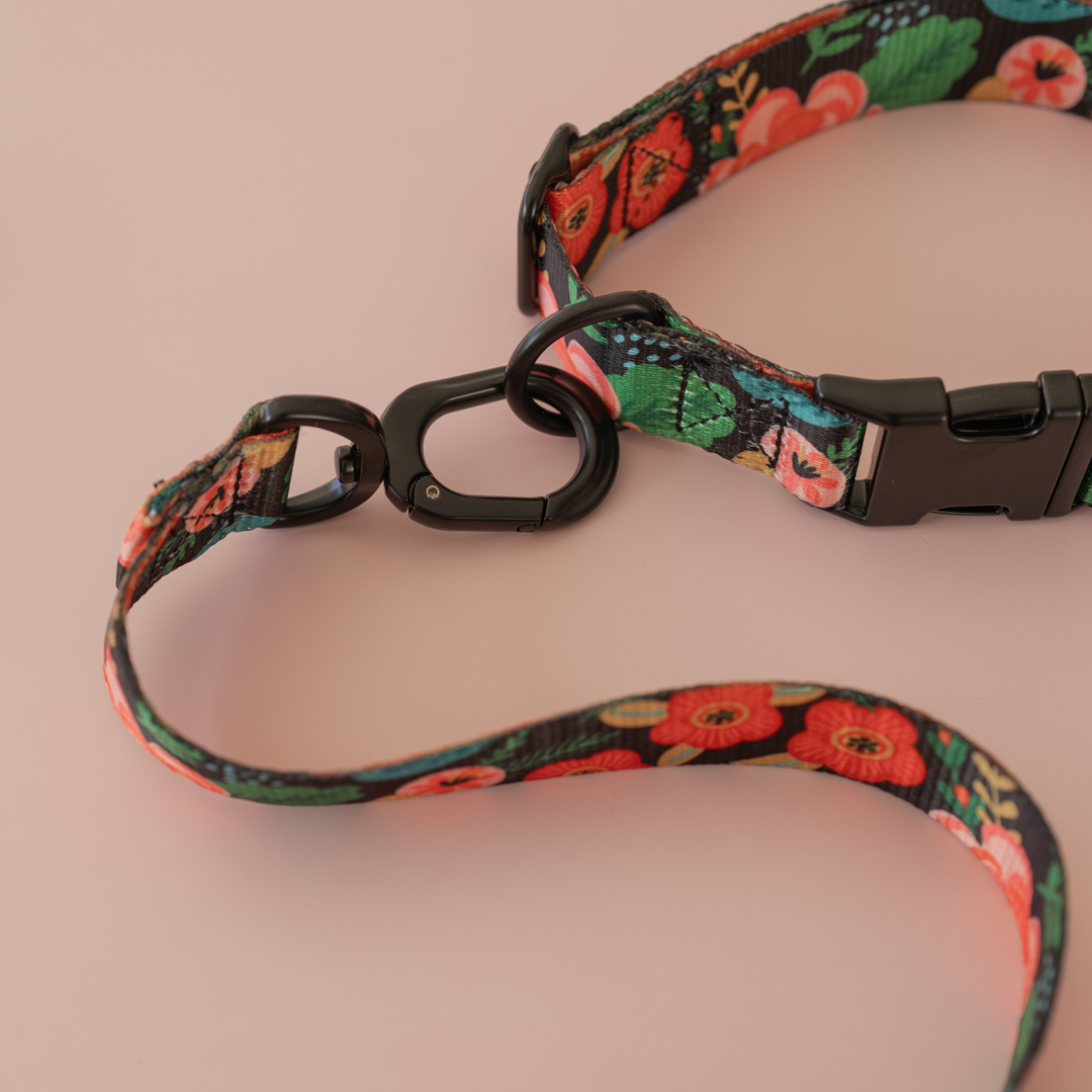 Antigone | Pet Collar Floral Orange - Large | Shut the Front Door