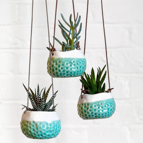 Burgon & Ball | Hanging Pot - Baby Dotty | Shut the Front Door