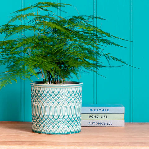 Burgon & Ball | Glazed Pot - Morocco Celadon | Shut the Front Door