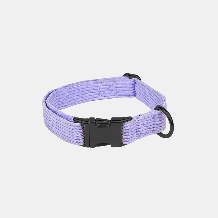 Antigone | Pet Collar Cordroy Lilac - Small | Shut the Front Door