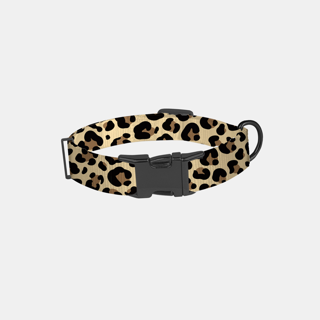 Antigone | Pet Collar Animal Print Brown/Black - Small | Shut the Front Door