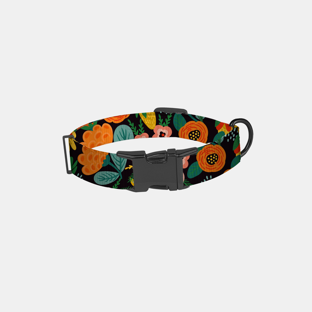 Antigone | Pet Collar Floral Orange - Small | Shut the Front Door