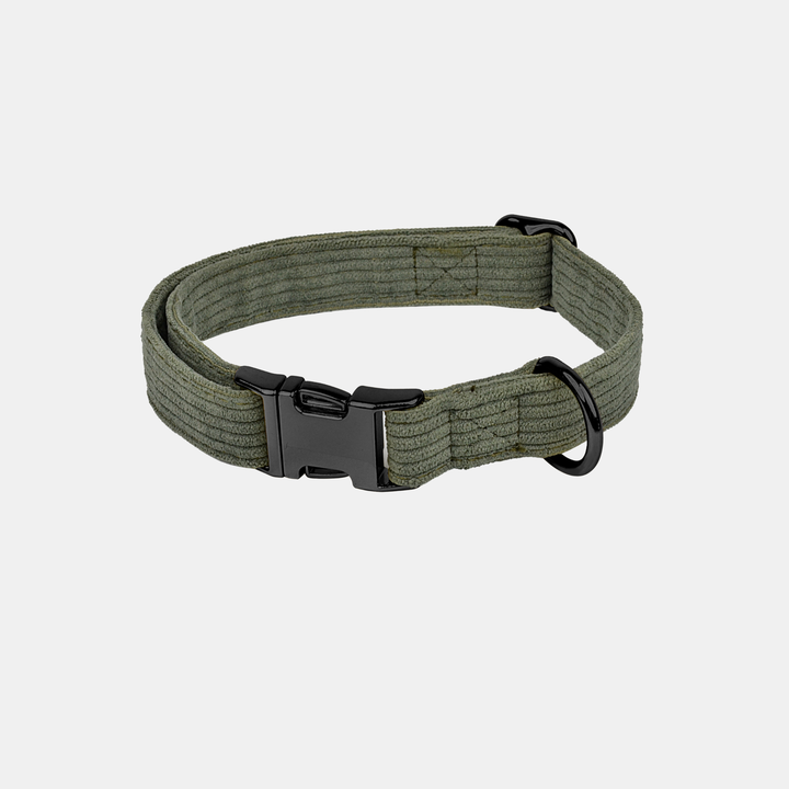 Antigone | Pet Collar Cordroy Green - Medium | Shut the Front Door