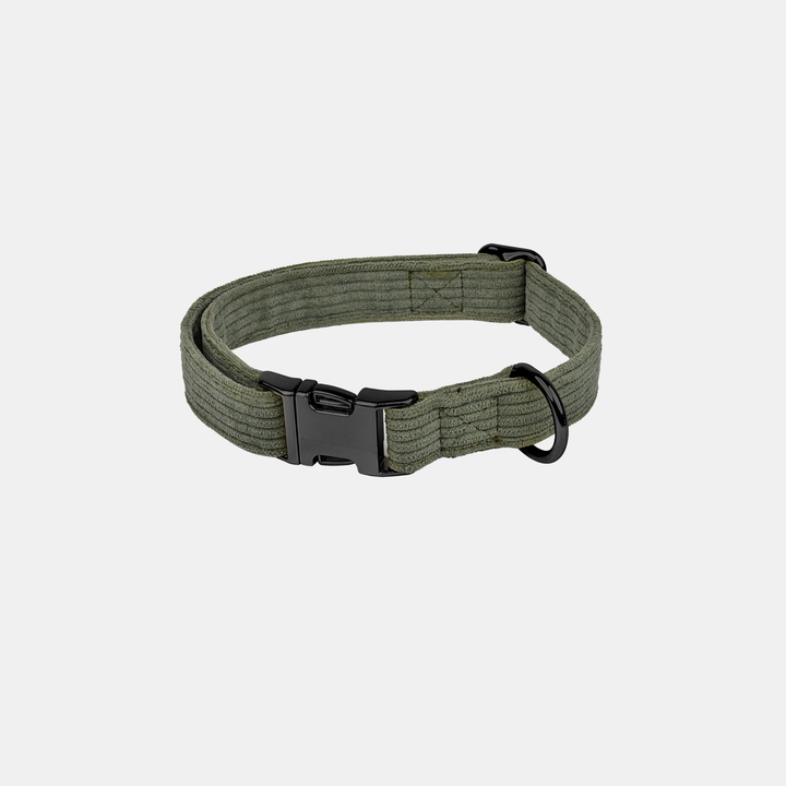 Antigone | Pet Collar Cordroy Green - Small | Shut the Front Door