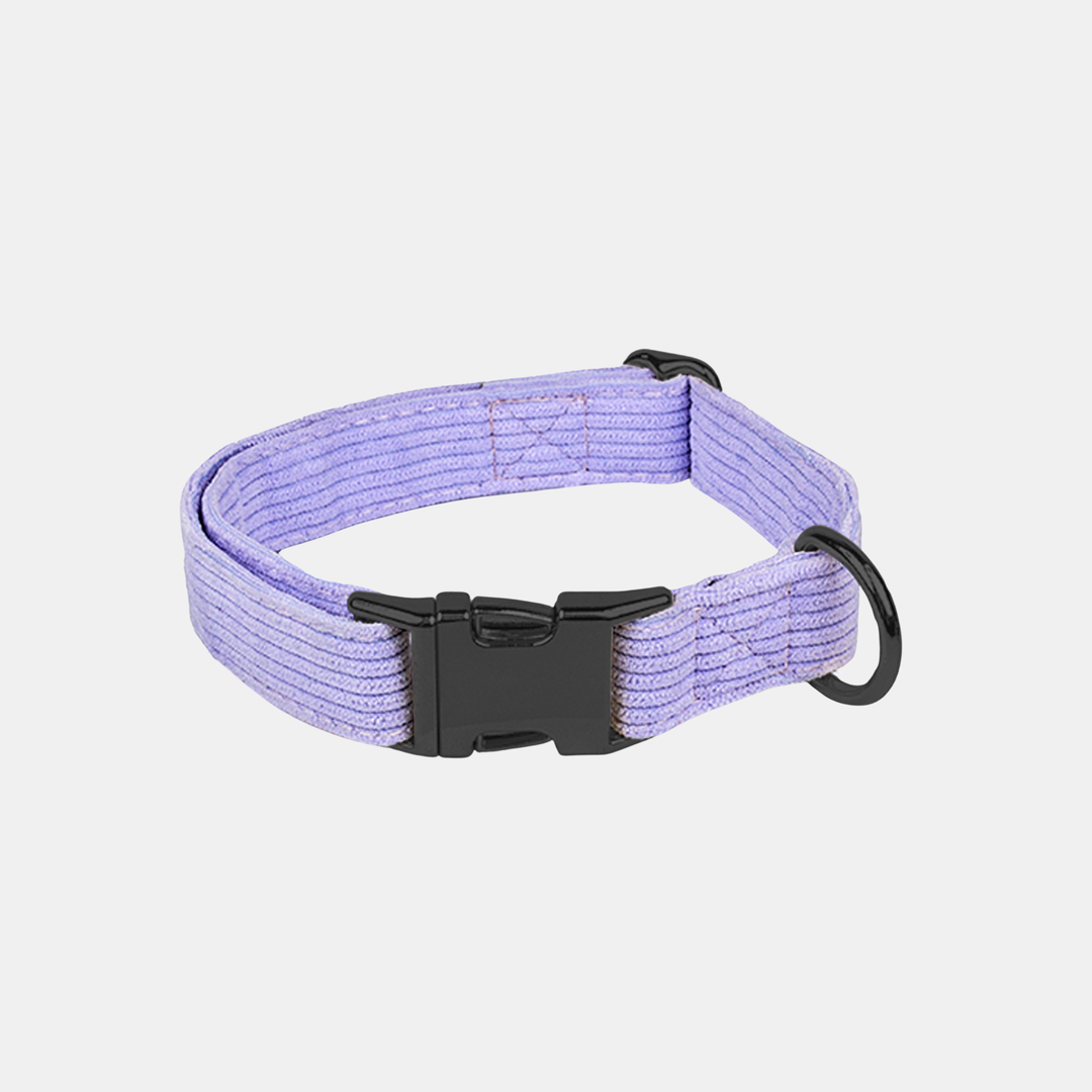 Antigone | Pet Collar Cordroy Lilac - Medium | Shut the Front Door