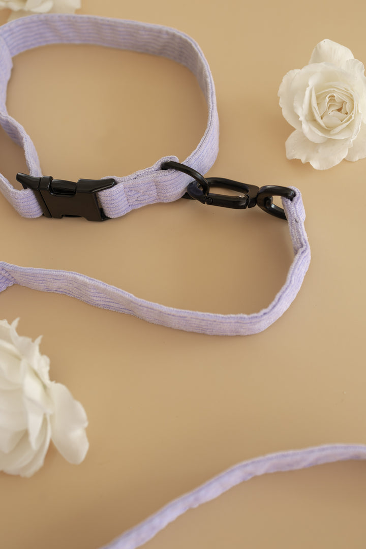 Antigone | Pet Collar Cordroy Lilac - Medium | Shut the Front Door