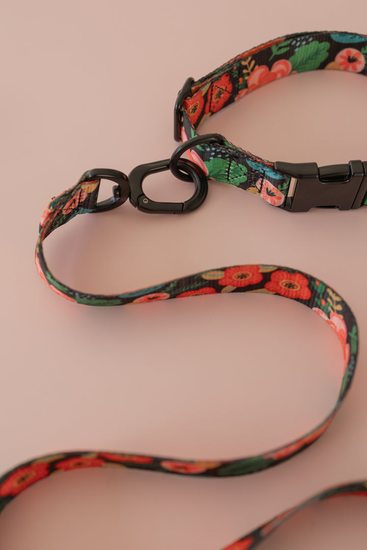 Antigone | Pet Collar Floral Orange - Medium | Shut the Front Door