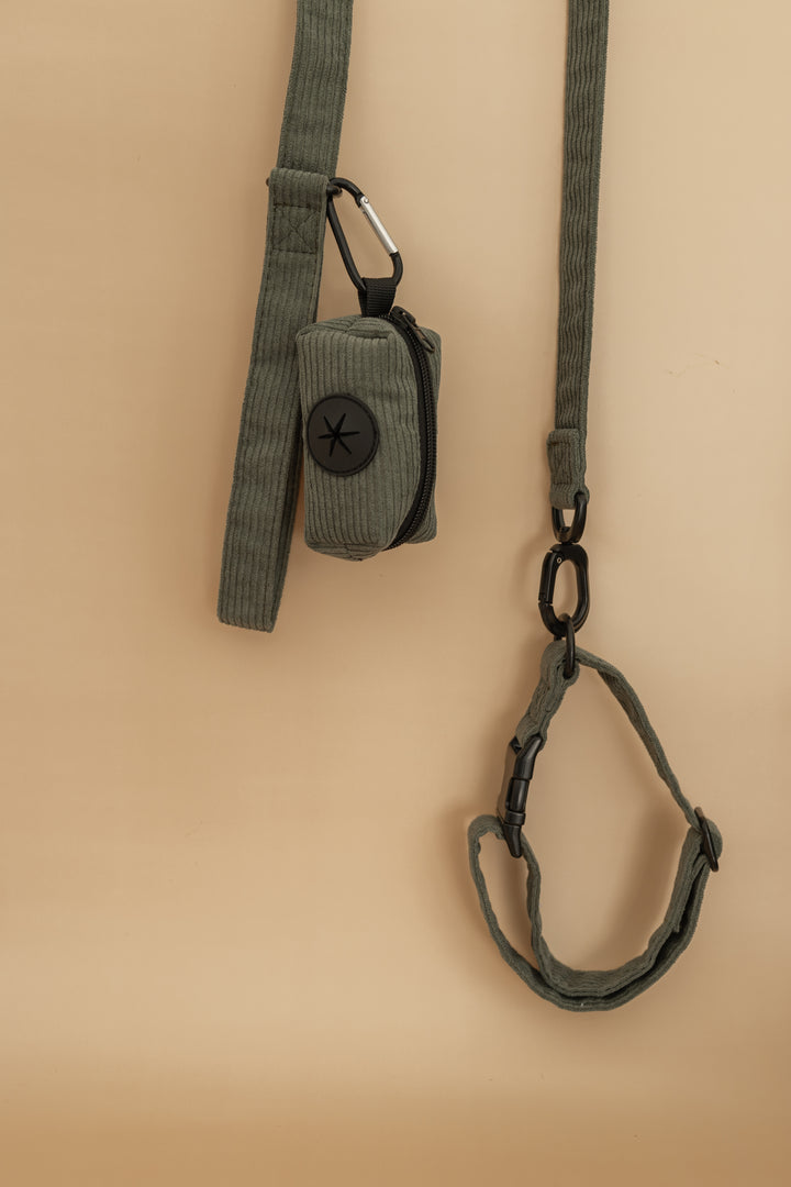 Antigone | Pet Leash Cordroy Green - Large | Shut the Front Door