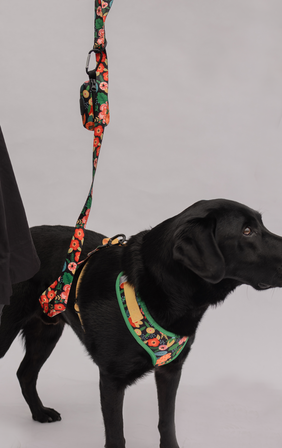 Antigone | Pet Harness Floral Orange - Medium | Shut the Front Door