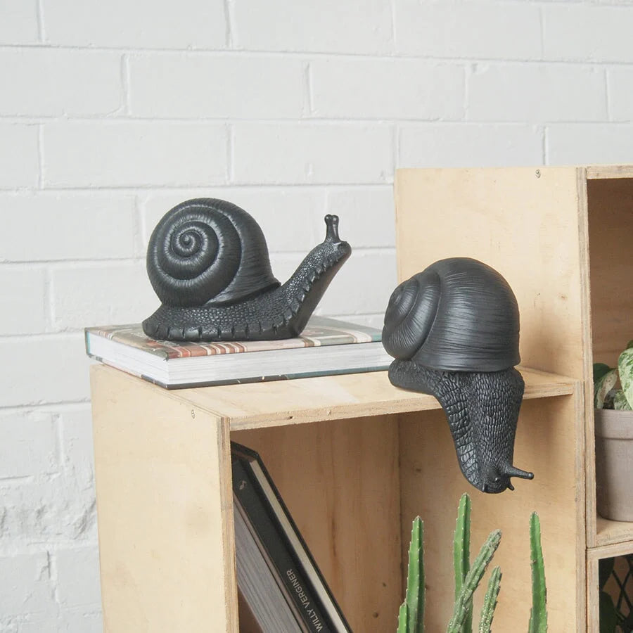 White Moose | Table Snail - Black | Shut the Front Door