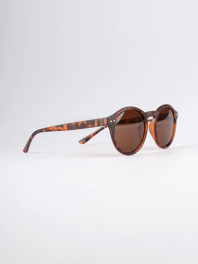 Reality Eyewear | Hudson Sunglasses - Matt Turtle | Shut the Front Door