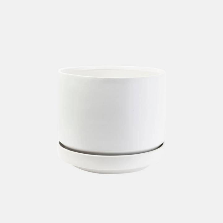 Potted | Zurich Planter - White XL | Shut the Front Door