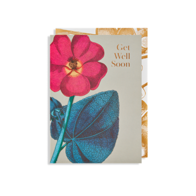 Lagom | Card Get Well Soon | Shut the Front Door