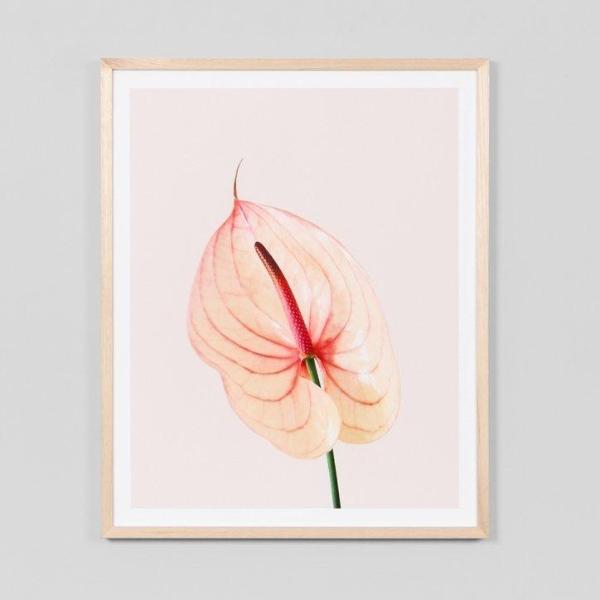 Middle of Nowhere | Framed Print - Blush Laceleaf | Shut the Front Door