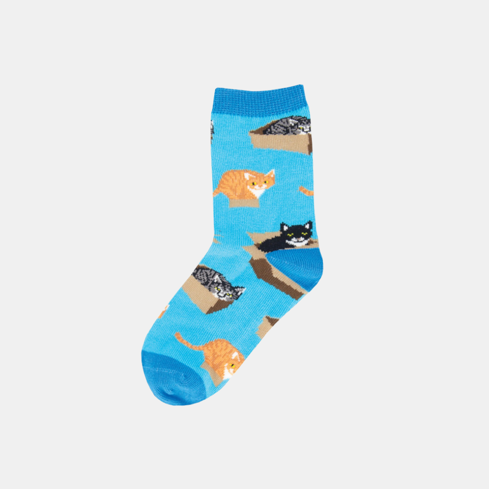 Socksmith | Socks Kids Cat In A Box - Blue 2-4 years | Shut the Front Door