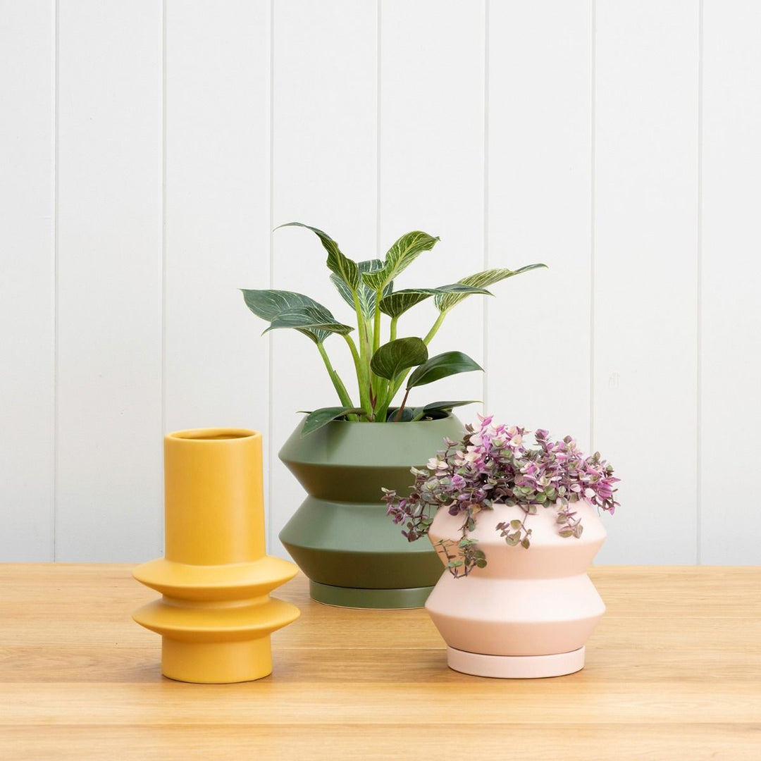 Potted | Hanover Planter - Parchment Large | Shut the Front Door