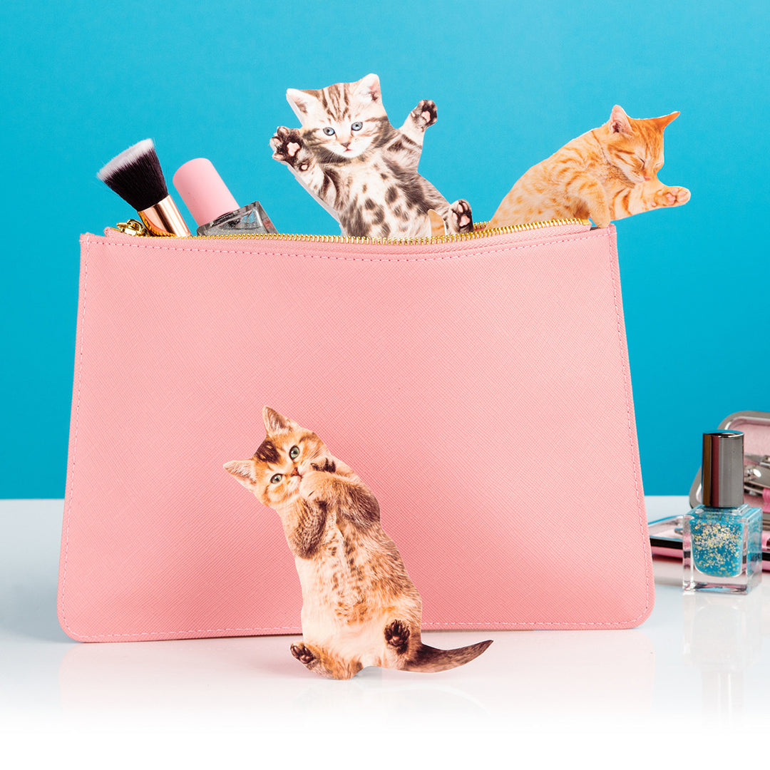 Suck Uk | Purrfect Nails - Ginger Cat Nail File | Shut the Front Door