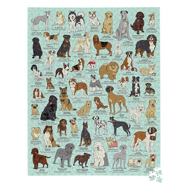 Ridleys | Dog Lovers Jigsaw Puzzle 1000pcs | Shut the Front Door